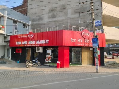 WhatsApp Image 2025-02-22 at 5.35.22 PM (1)