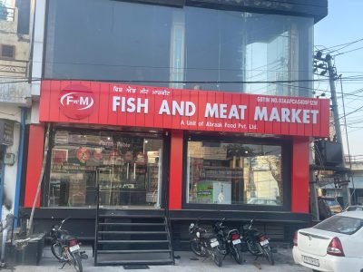 WhatsApp Image 2025-02-22 at 8.13.19 PM