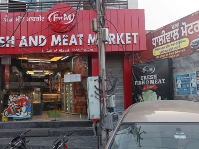 WhatsApp Image 2025-02-22 at 8.56.50 PM